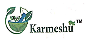 Partner Logo 4